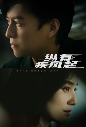 纵有疾风起封面图