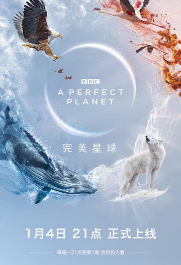 海报背景