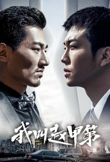 我叫赵甲第封面图