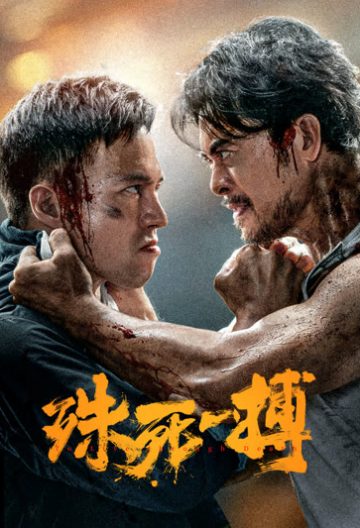 殊死一搏封面图