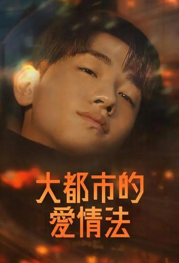 大都市爱情法封面图