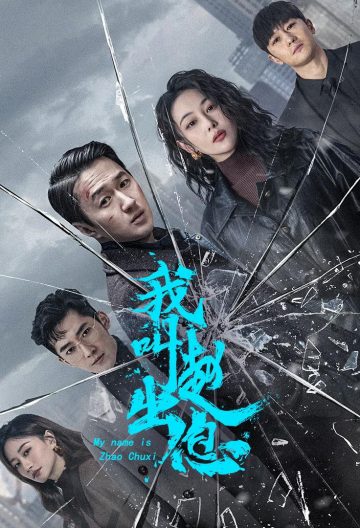 我叫赵出息封面图