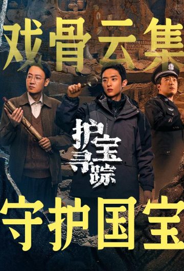 护宝寻踪封面图