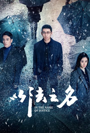 以法之名封面图