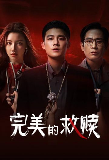 完美的救赎封面图