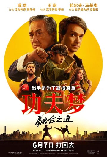 功夫梦：融合之道封面图