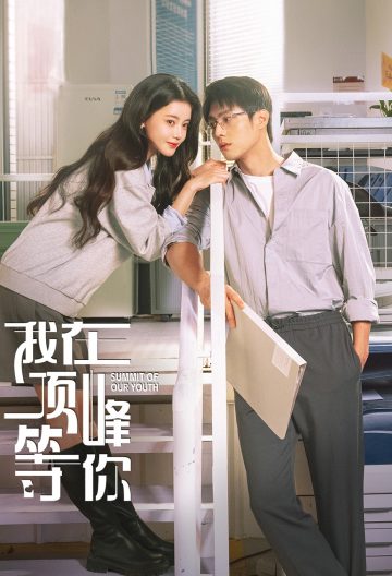 我在顶峰等你封面图