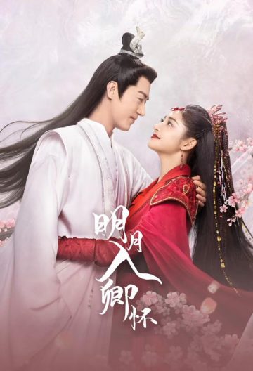 明月入卿怀封面图