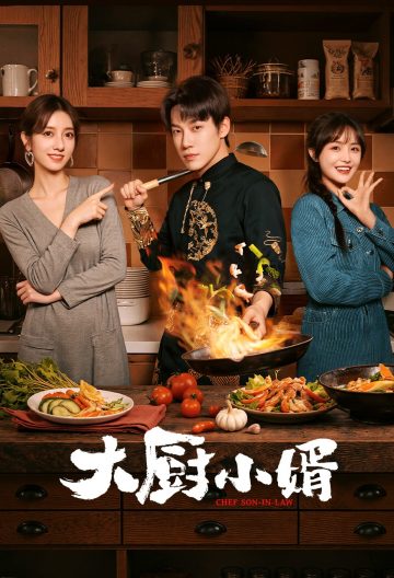 大厨小婿封面图