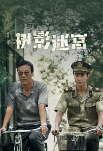 树影迷宫封面图