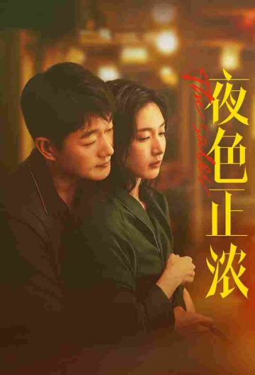 夜色正浓封面图