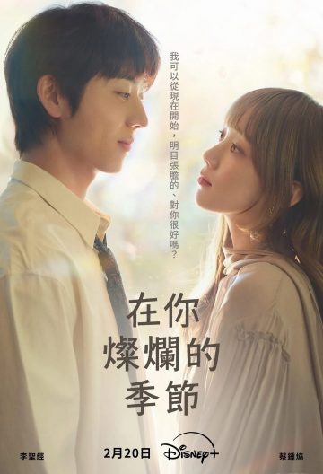 在你灿烂的季节封面图